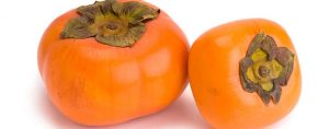 Persimmon