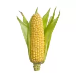 frozen corn