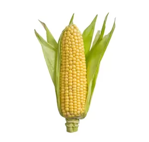 frozen corn