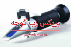 بریکس رب اسپتیک