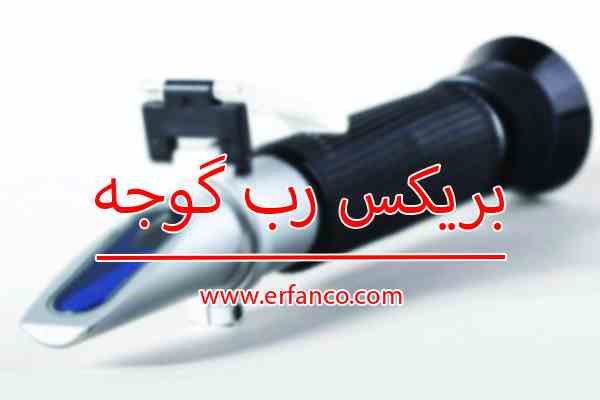 بریکس رب اسپتیک