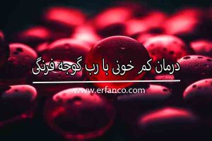 درمان کم خونی با رب گوجه فرنگی