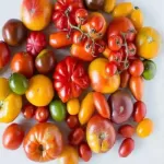 بهترین گوجه برای رب