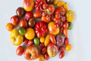 بهترین گوجه برای رب