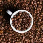 قهوه: زندگی، تاریخ، و لذت در یک فنجان coffee