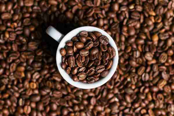قهوه: زندگی، تاریخ، و لذت در یک فنجان coffee