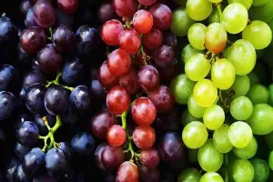 خرید انگور صادراتی Grapes