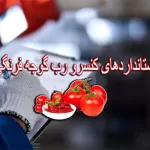 استانداردهای کنسرو رب گوجه فرنگی