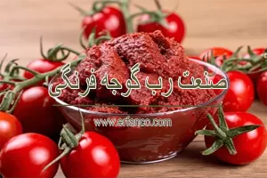 صنعت رب گوجه فرنگی