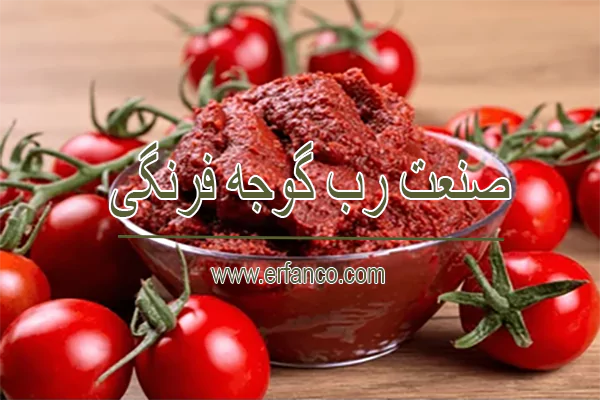 صنعت رب گوجه فرنگی