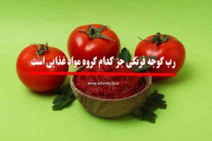 رب گوجه فرنگی جز کدام گروه مواد غذایی است